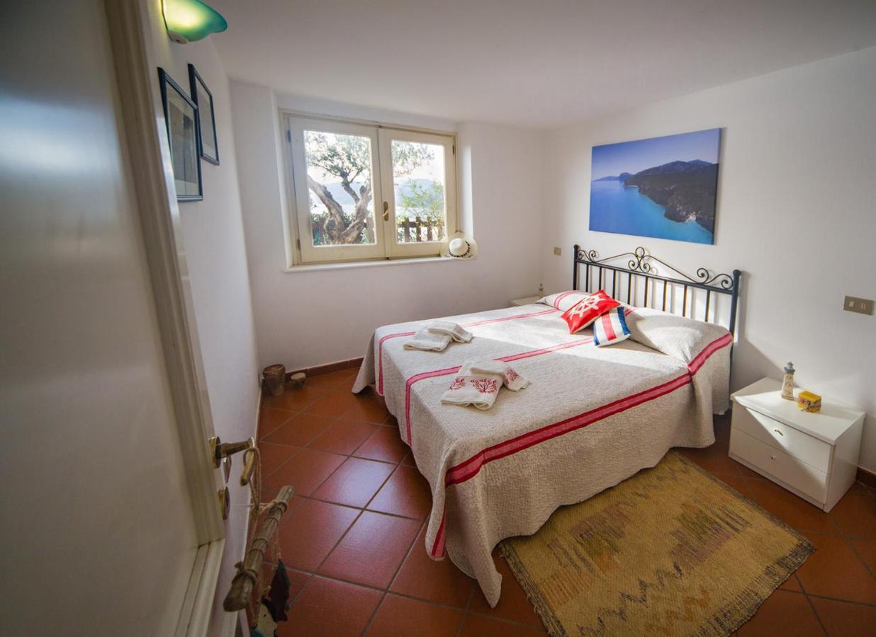 Casa Delta Delle Acque Vista Spettacolare E Giardino Daire Cala Gonone Dış mekan fotoğraf